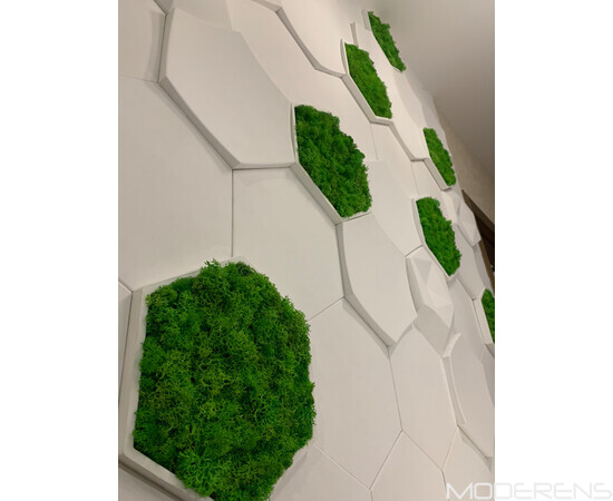Гіпсова 3Д панель DECO - Соти, зображення 5