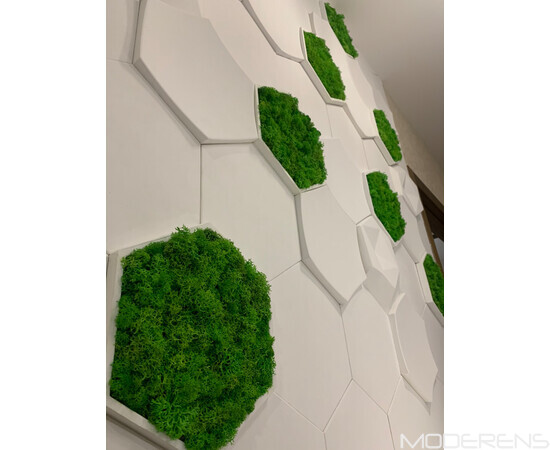 Гіпсова 3Д панель DECO - Соти, зображення 6