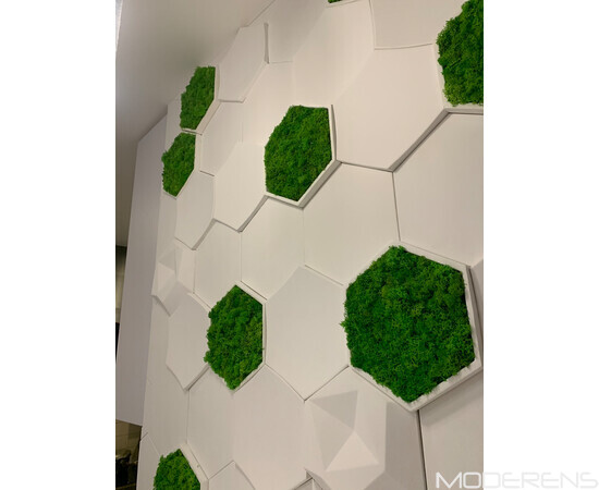 Гіпсова 3Д панель DECO - Соти, зображення 7