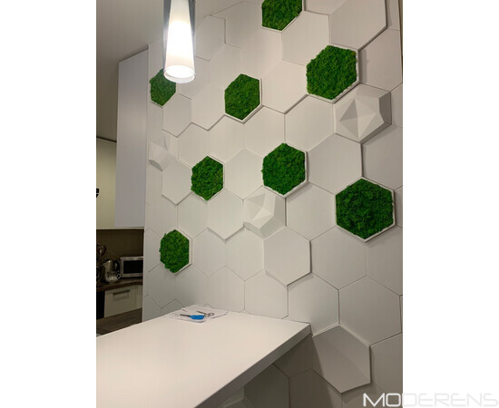 Гіпсова 3Д панель DECO - Соти, зображення 2