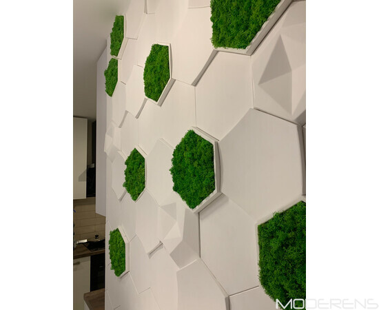 Гіпсова 3Д панель DECO - Соти, зображення 8